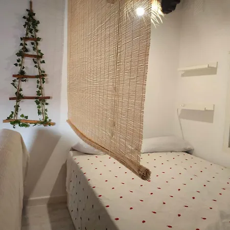 Estudio Centro Jerez San Miguel Jerez de la Frontera